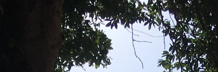 khoookha1992's profile banner image