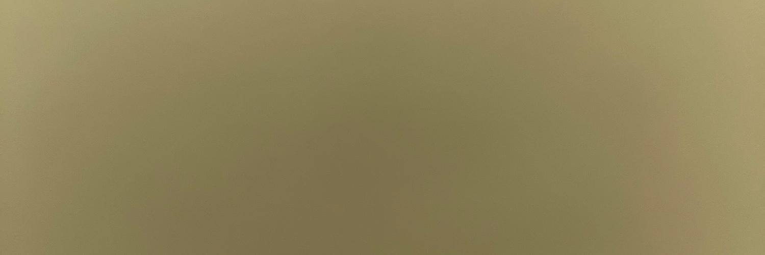 palarusa28's profile banner image