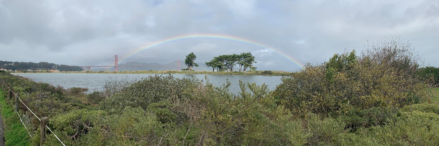 MeghanCArnold's profile banner image