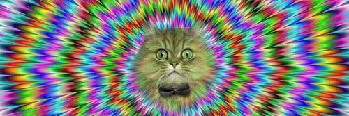 The Empty Bottle banner