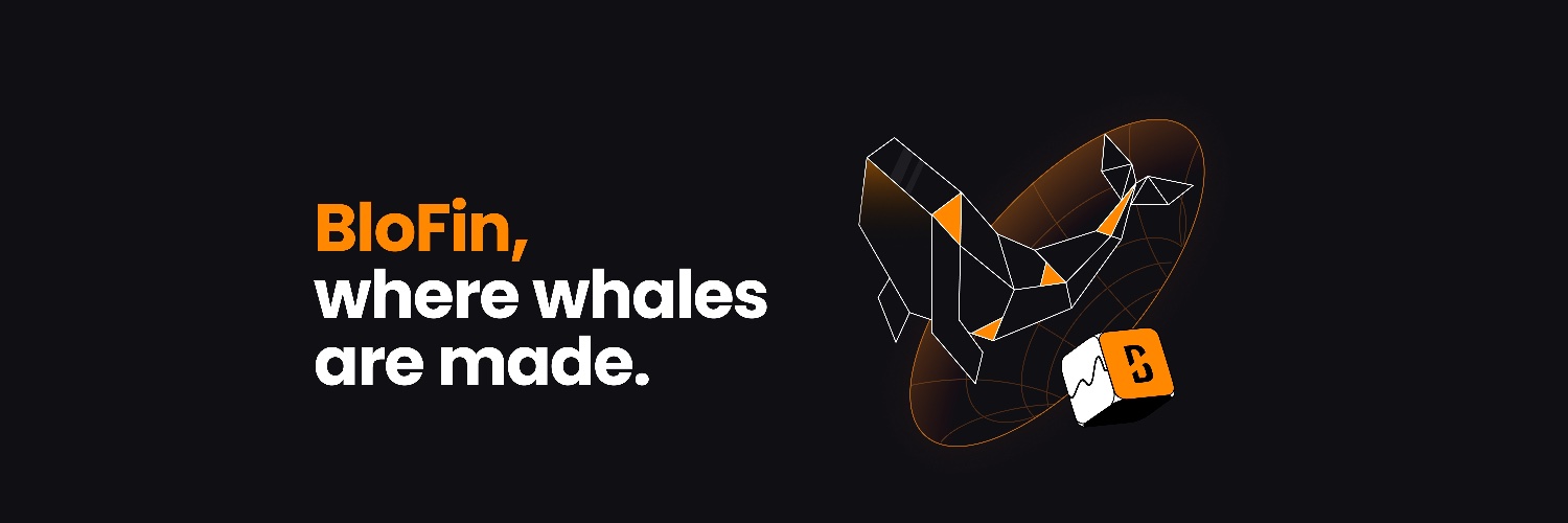 BloFin Exchange's banner