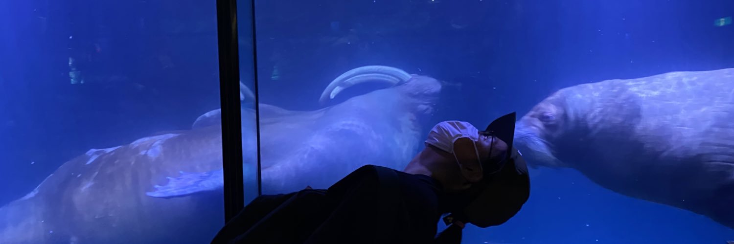 yoosiiook's profile banner image