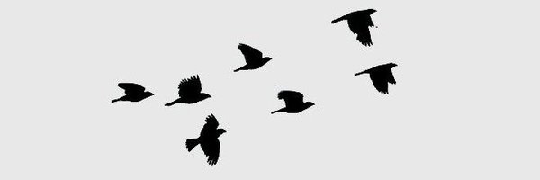 Vnltvna trobas 🦅Advisor banner