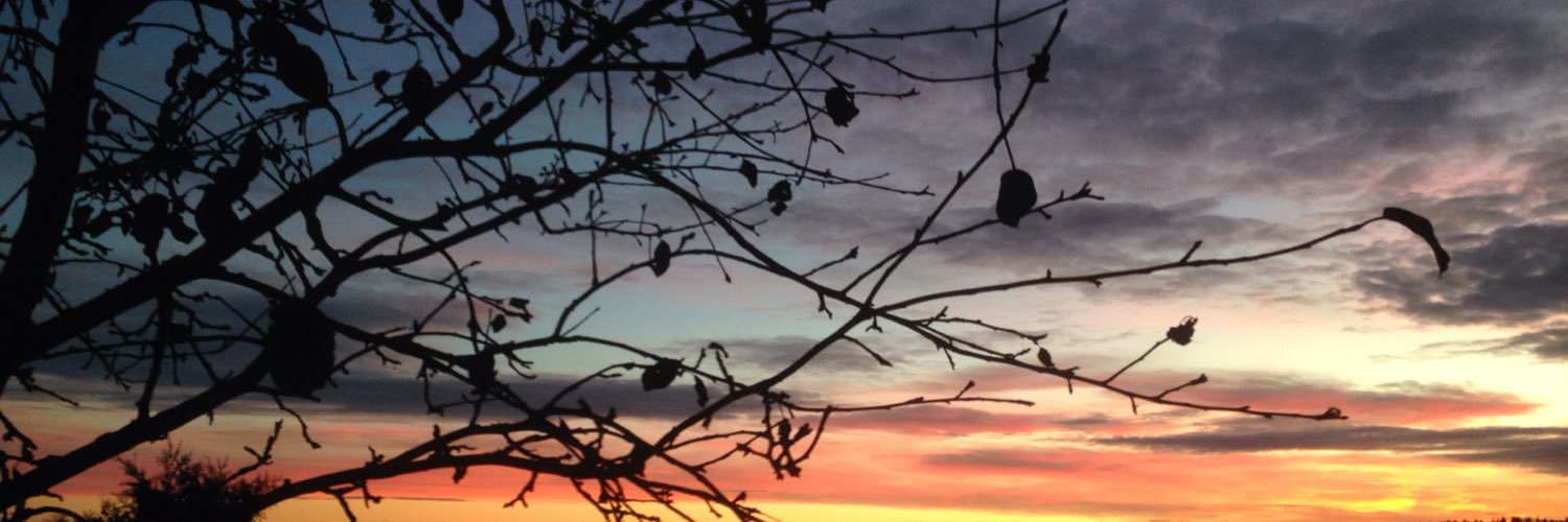 susannamort's profile banner image