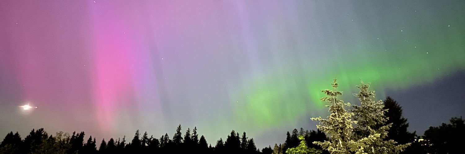 Steve Teixeira 🦊 banner