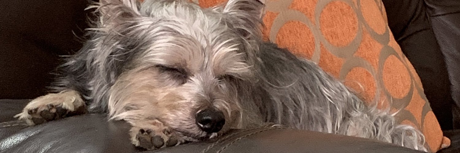 Ale 🗿🪢🦦 banner