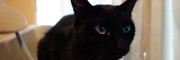 watson1978 Profile Banner