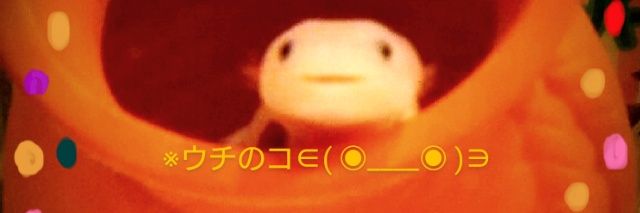 よっぴ🎤∈( ◉____◉ )∋ banner
