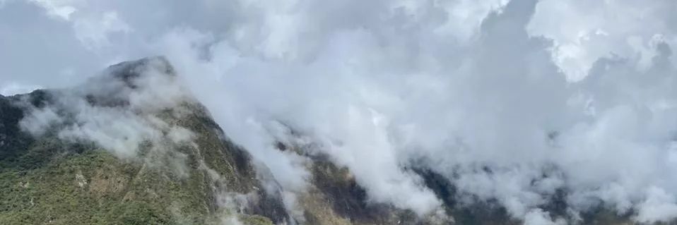 yuli_ga's profile banner image