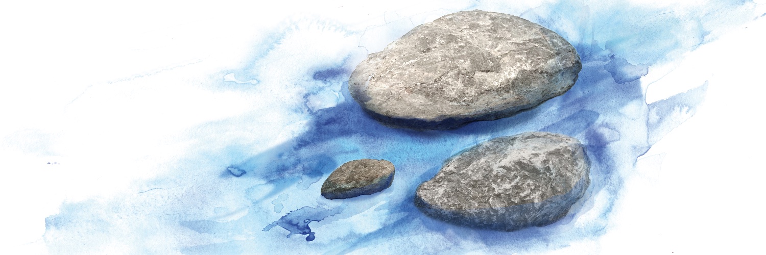 shellepart's profile banner image