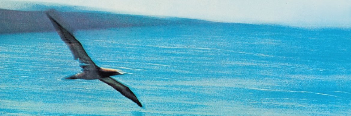 𝓣𝓲𝓶𝓮's banner