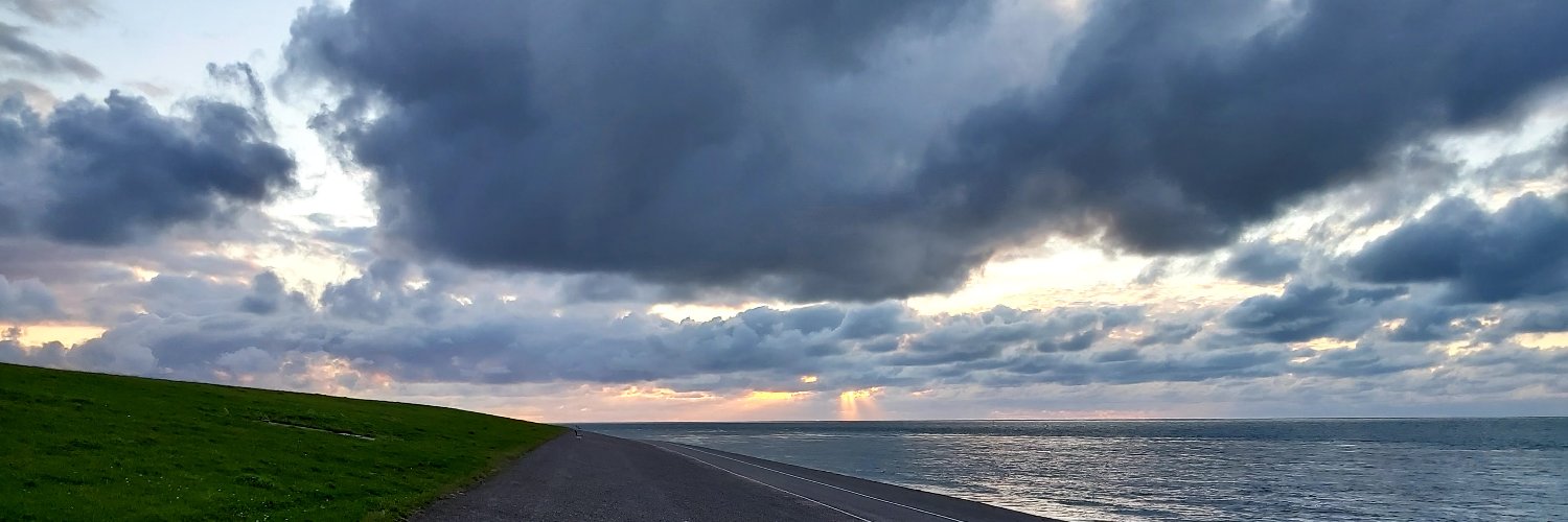 cognizio's profile banner image