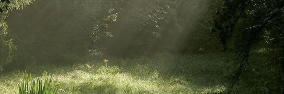 uvblvd's profile banner image