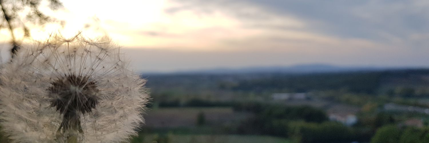 ClareAllen22's profile banner image