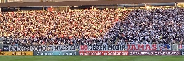 Camila Betancourt 🌳 banner