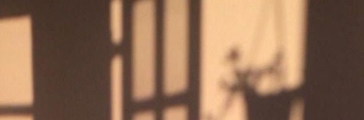 𝘭𝘢𝘺𝘭𝘢𝘶 ☽ banner