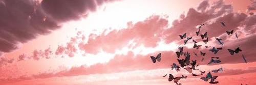 Simni_X's profile banner image
