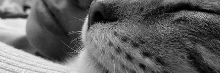 rosattth's profile banner image