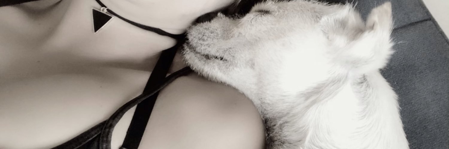 SudeDeniiz's profile banner image
