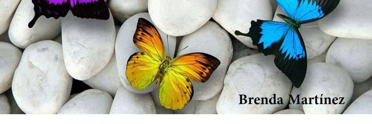 BRENDA LIZZETH banner