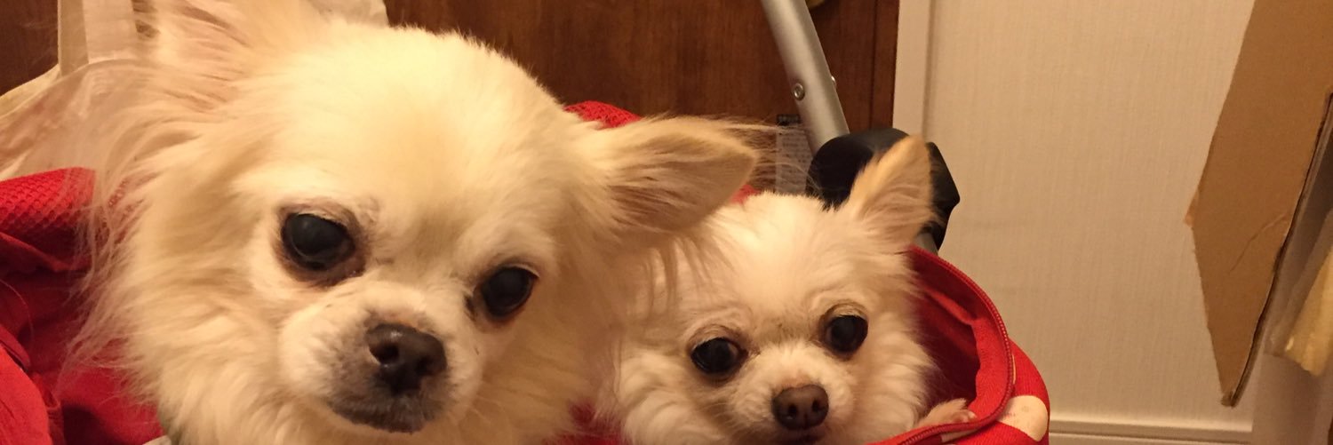 maito6231's profile banner image