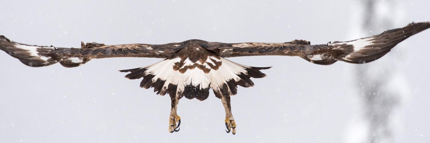 HelgeErikstad's profile banner image