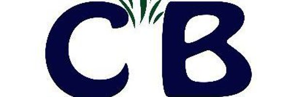 Chrbertconsult Profile Banner