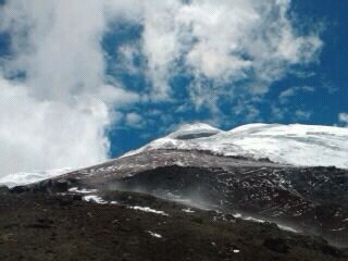 Freddy Paredes banner