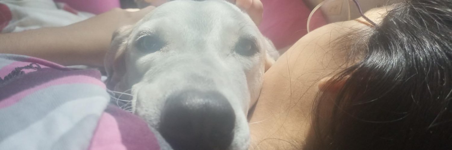 Hannxaaaa's profile banner image