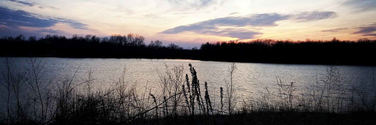 mnoelnolte's profile banner image