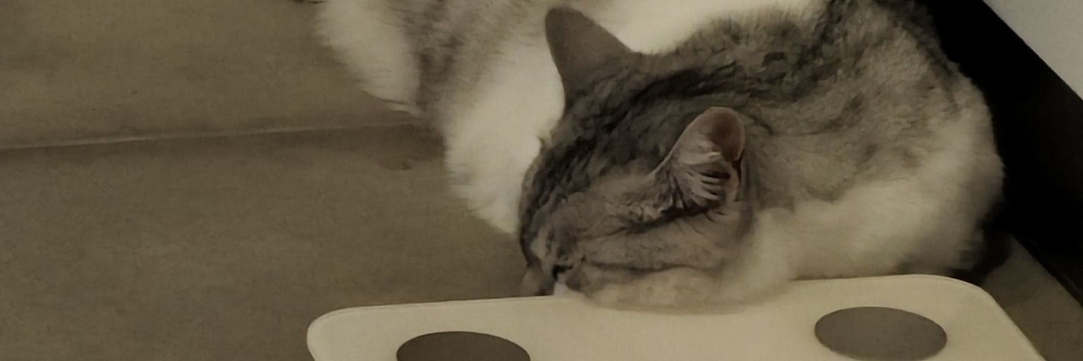 takechey's banner