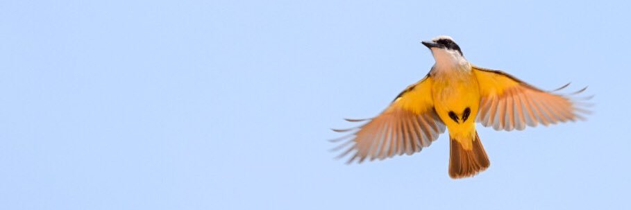 Mary of L.A. 🚙 banner