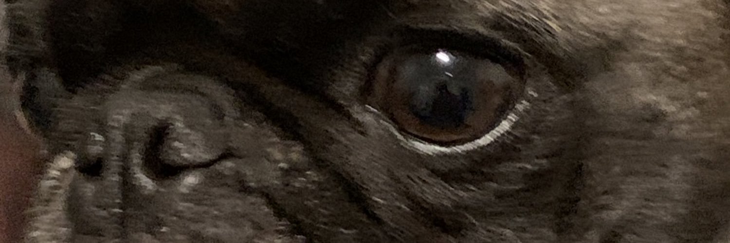 skykam007's profile banner image