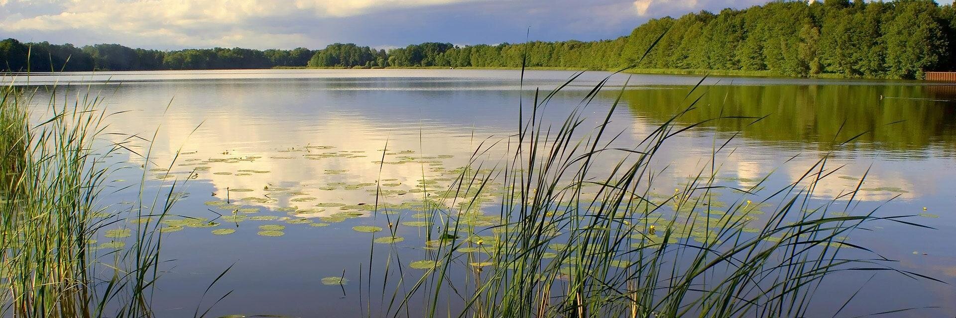 FisherySales's profile banner image