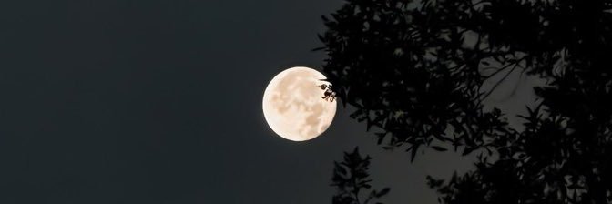 Morebochaa's profile banner image