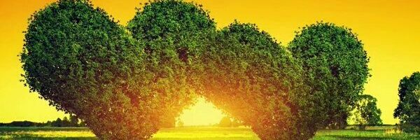 debpitt11's profile banner image