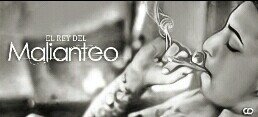 Nengo_Flow_Fans's profile banner image