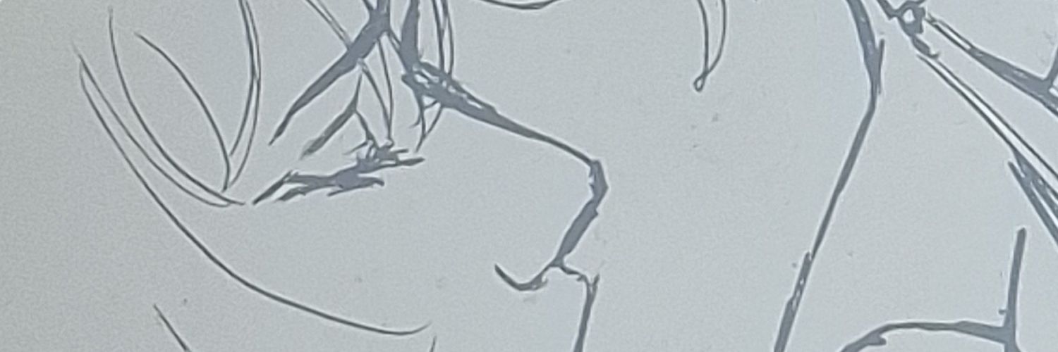 _wofeiyu_'s profile banner image