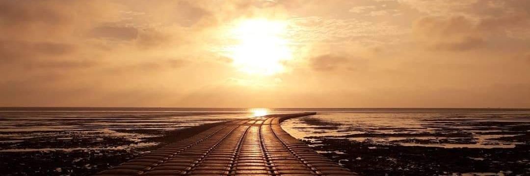 JWJP66's profile banner image