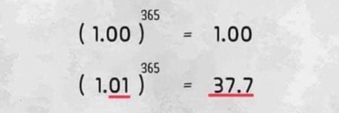 PinBar Trading banner