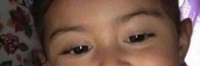 𝓟𝓮𝓵𝓾𝓶𝓲𝓲𝓲💓🇵🇹 banner