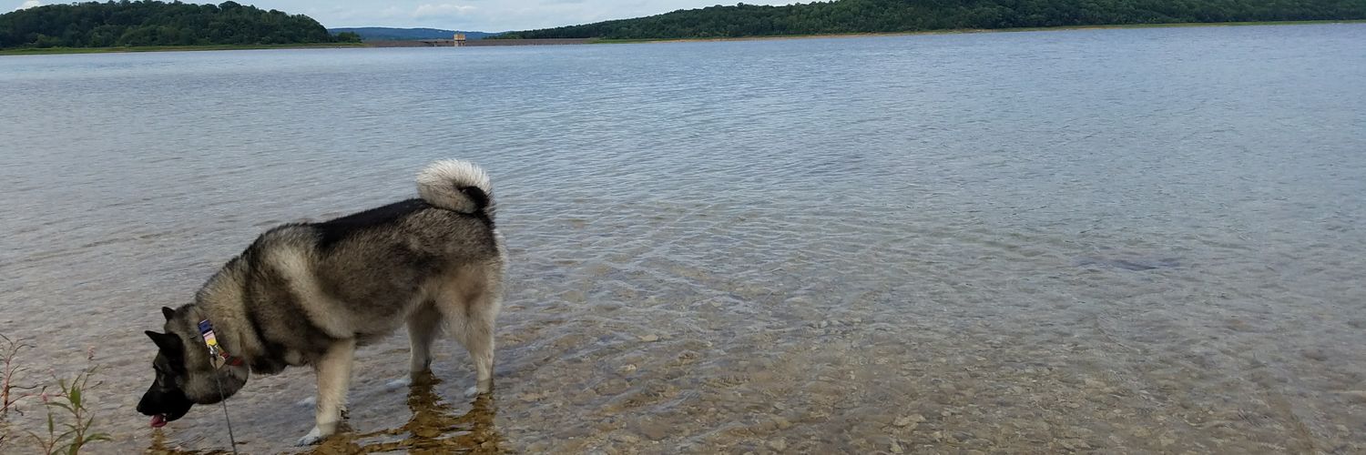 MistaShea's profile banner image