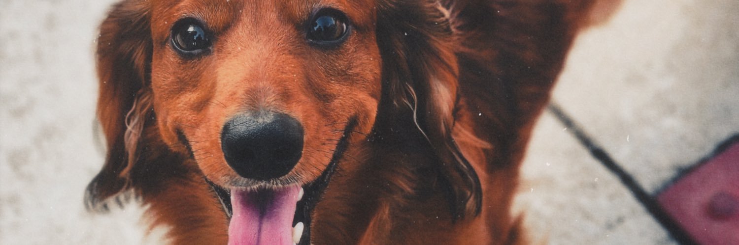aayyeeitsjay's profile banner image