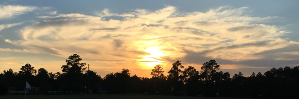 carson_y13's profile banner image