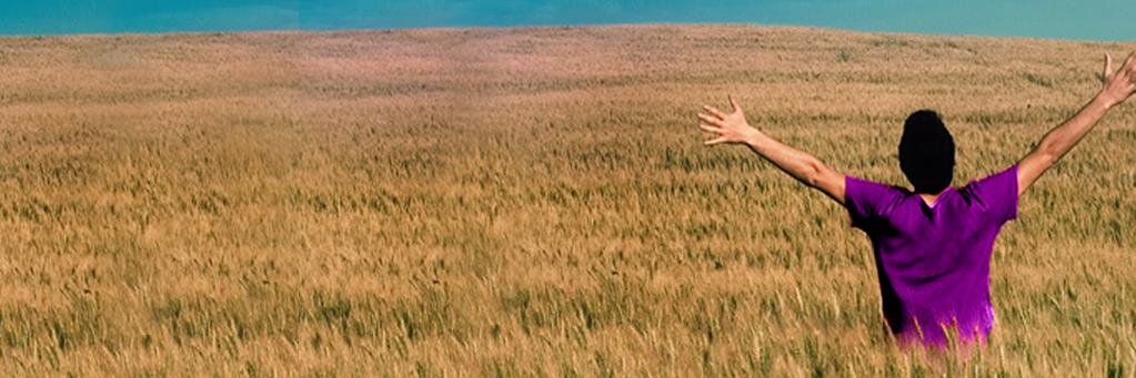 MONTYPALEN's profile banner image