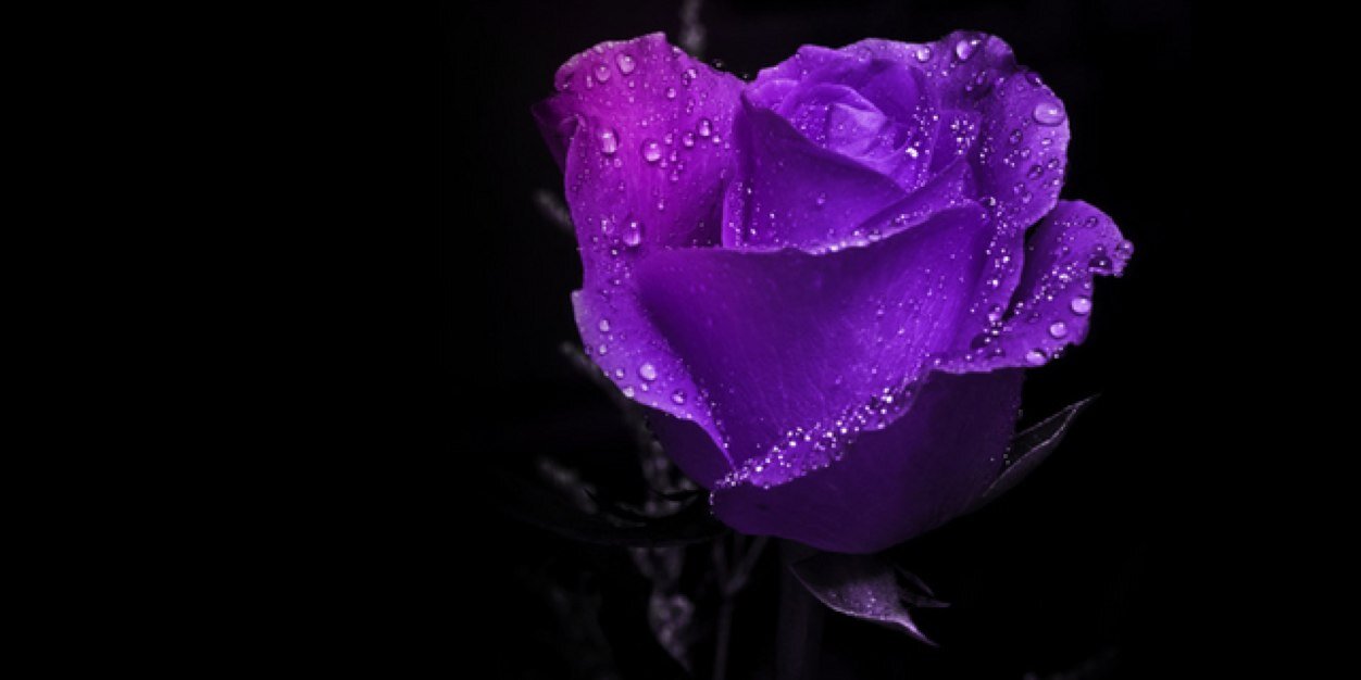 Kylaa_Club's profile banner image
