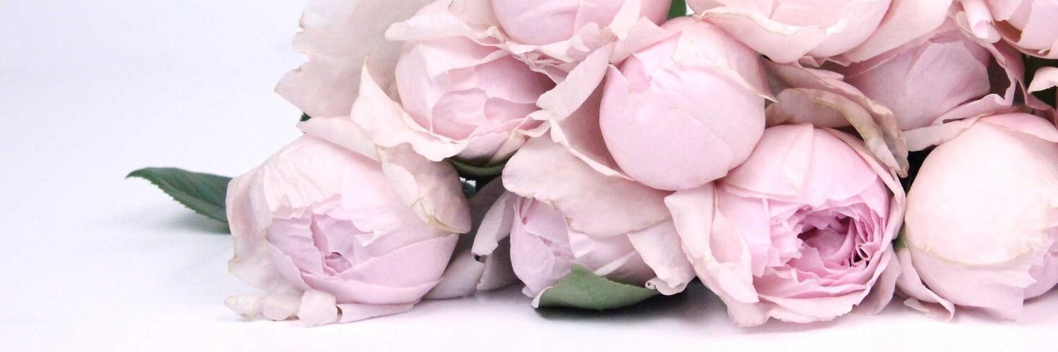 JellyC_Fancy's profile banner image