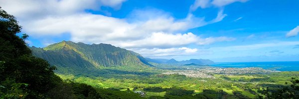 RepJillTokuda Profile Banner