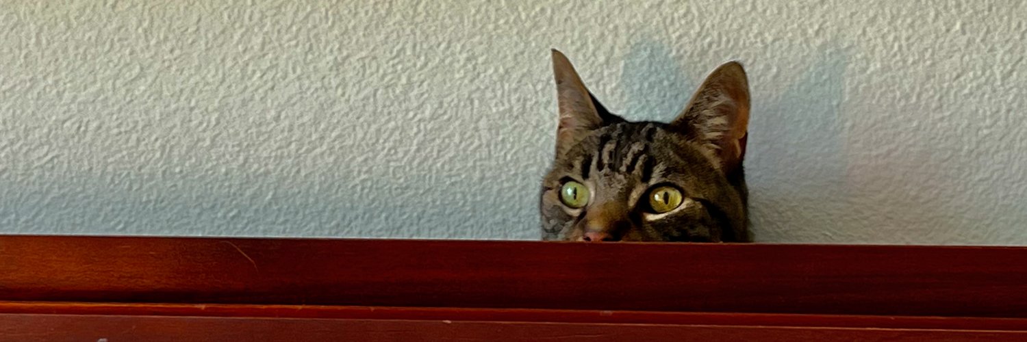 Intrepid Medley banner