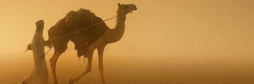 ashraf Almasry banner